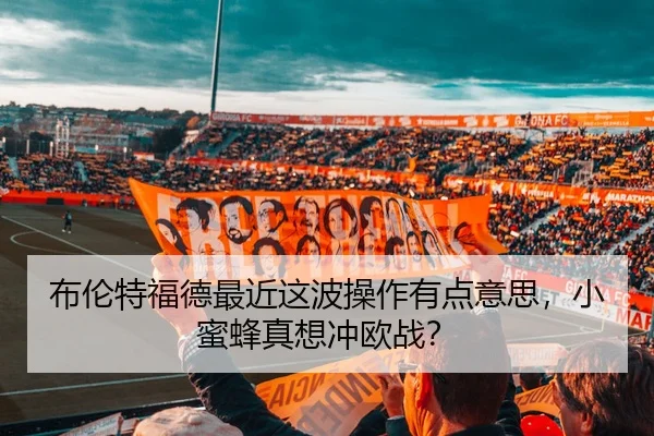布伦特福德最近这波操作有点意思，小蜜蜂真想冲欧战？