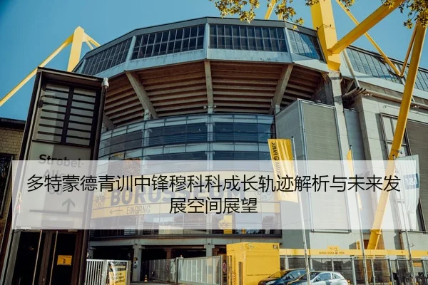 多特蒙德青训中锋穆科科成长轨迹解析与未来发展空间展望