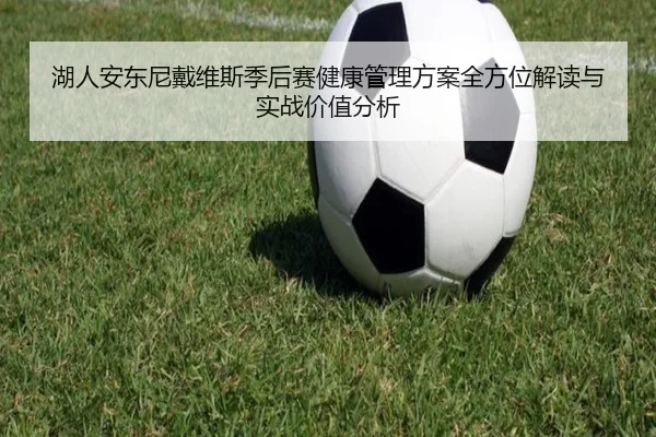 湖人安东尼戴维斯季后赛健康管理方案全方位解读与实战价值分析