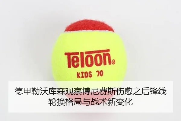 德甲勒沃库森观察博尼费斯伤愈之后锋线轮换格局与战术新变化